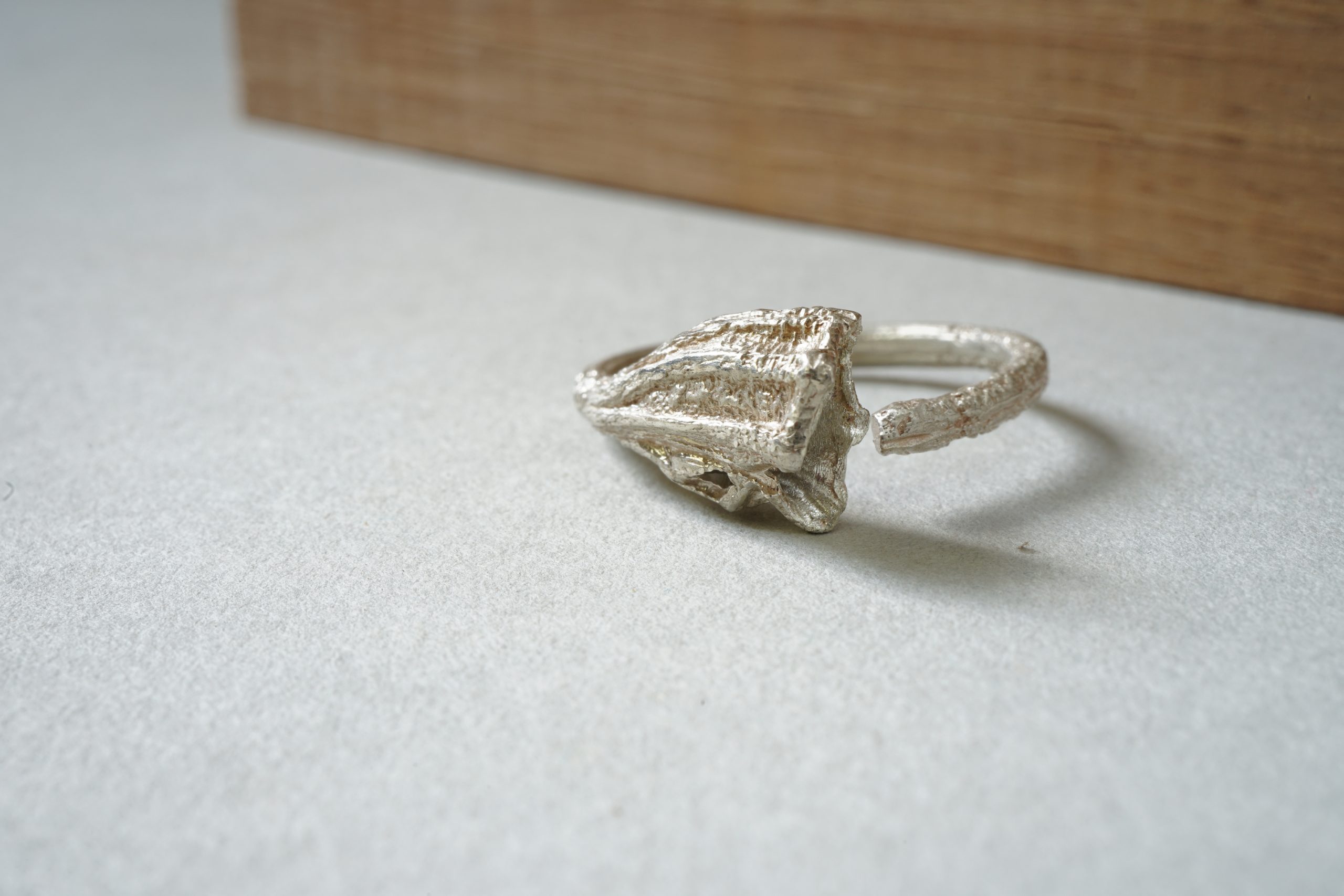 Detalle del pecíolo del anillo Rastros de plata