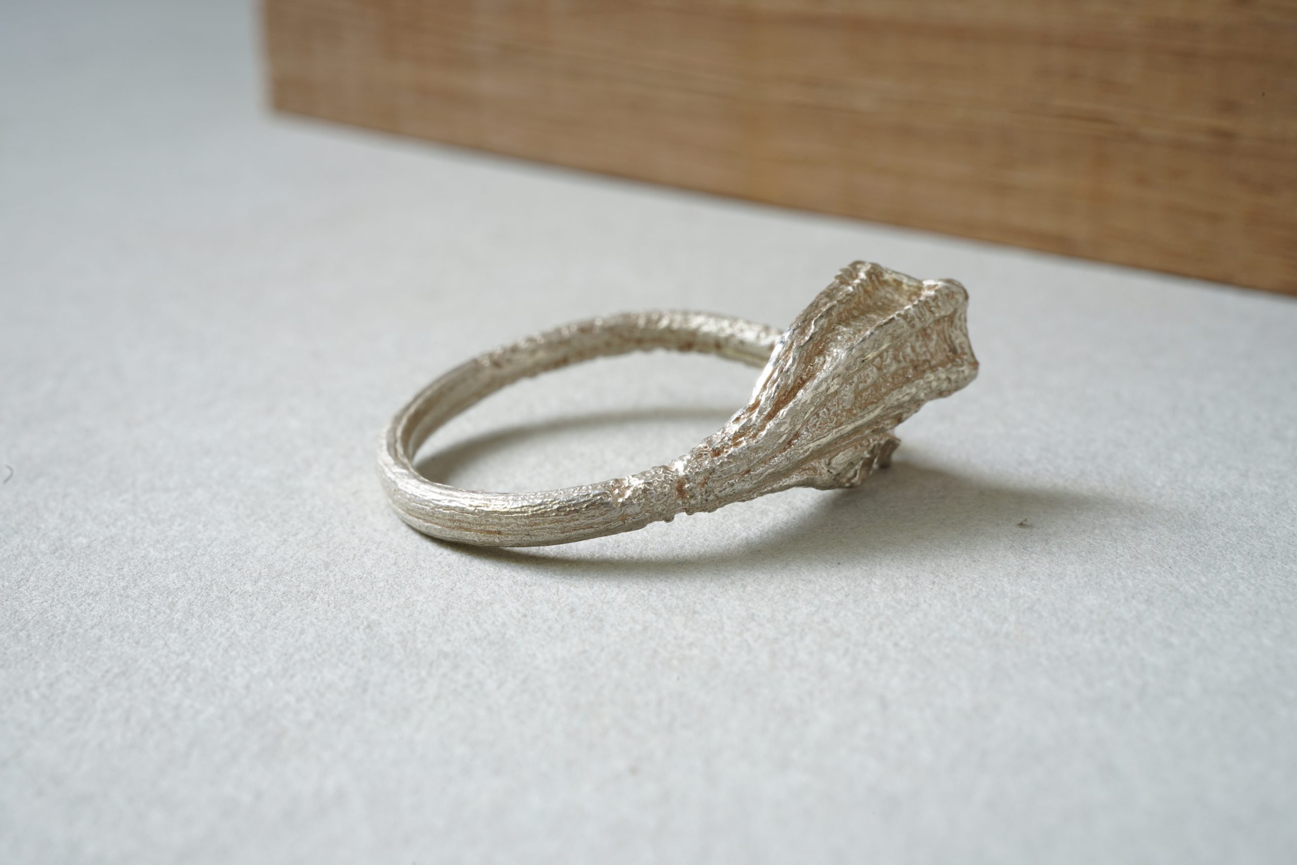 Anillo Rastros de plata visto de lado
