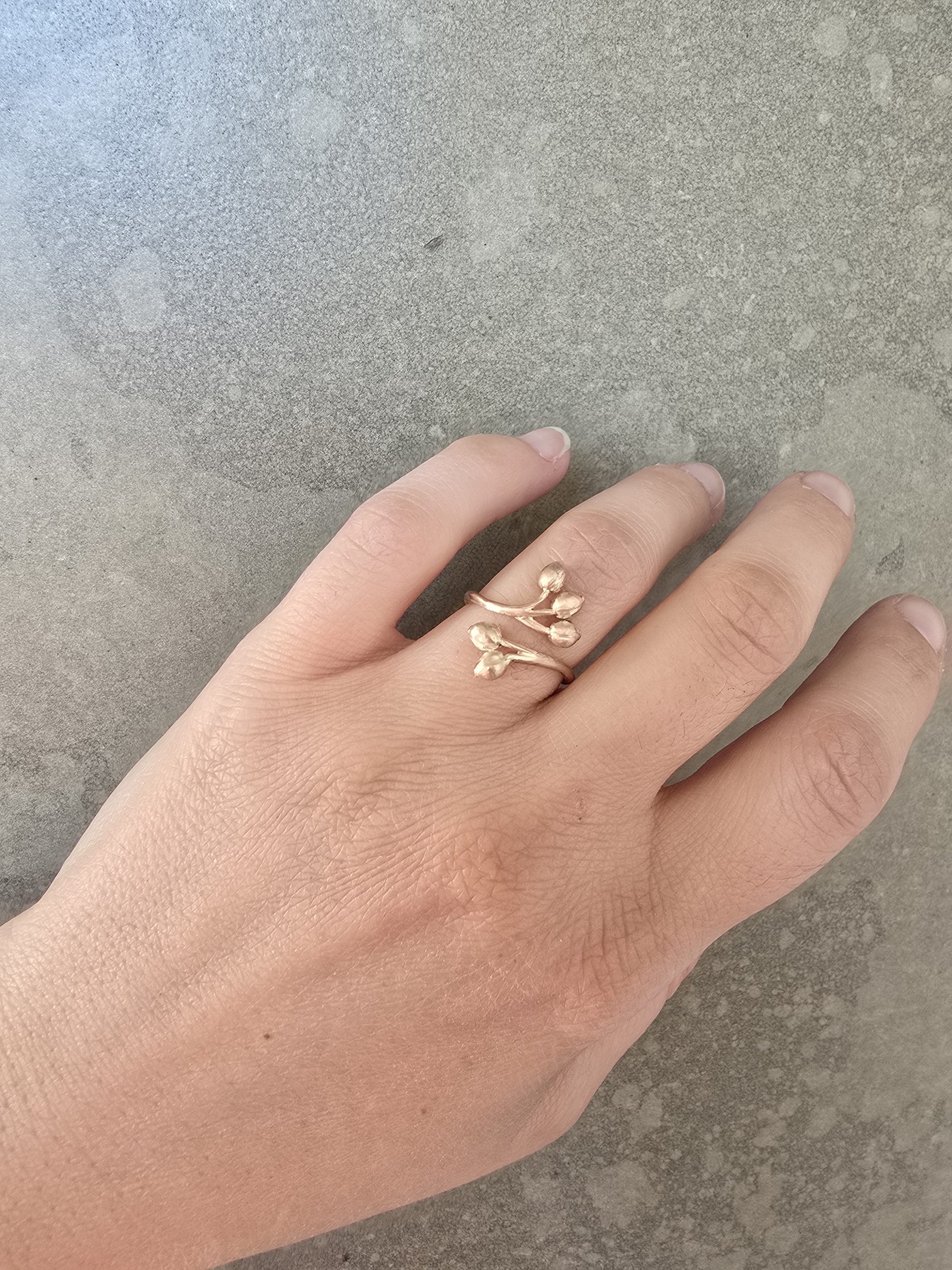 Anillo Semillas Naturales - Imagen 7