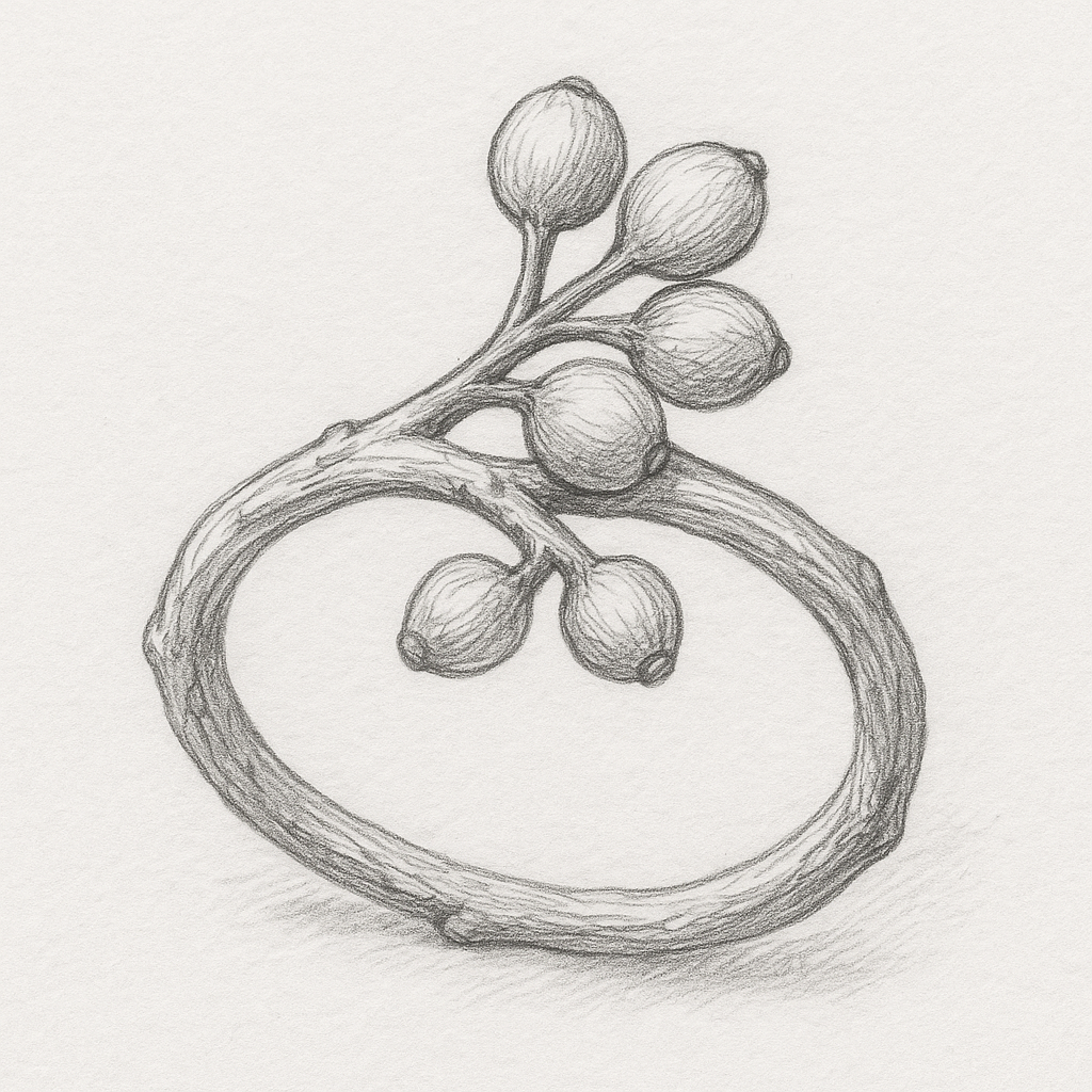 Anillo Semillas Naturales - Imagen 3
