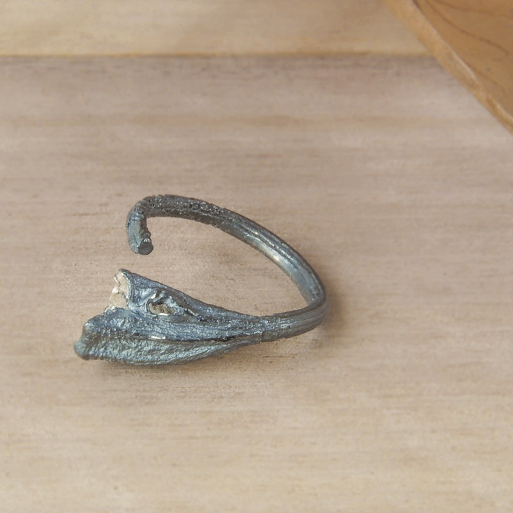 Detalle del pecíolo del anillo Rastros en plata negra